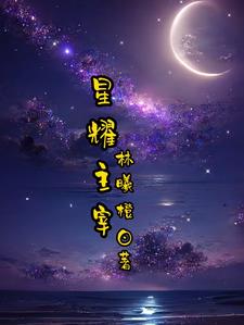 星武主宰 小说